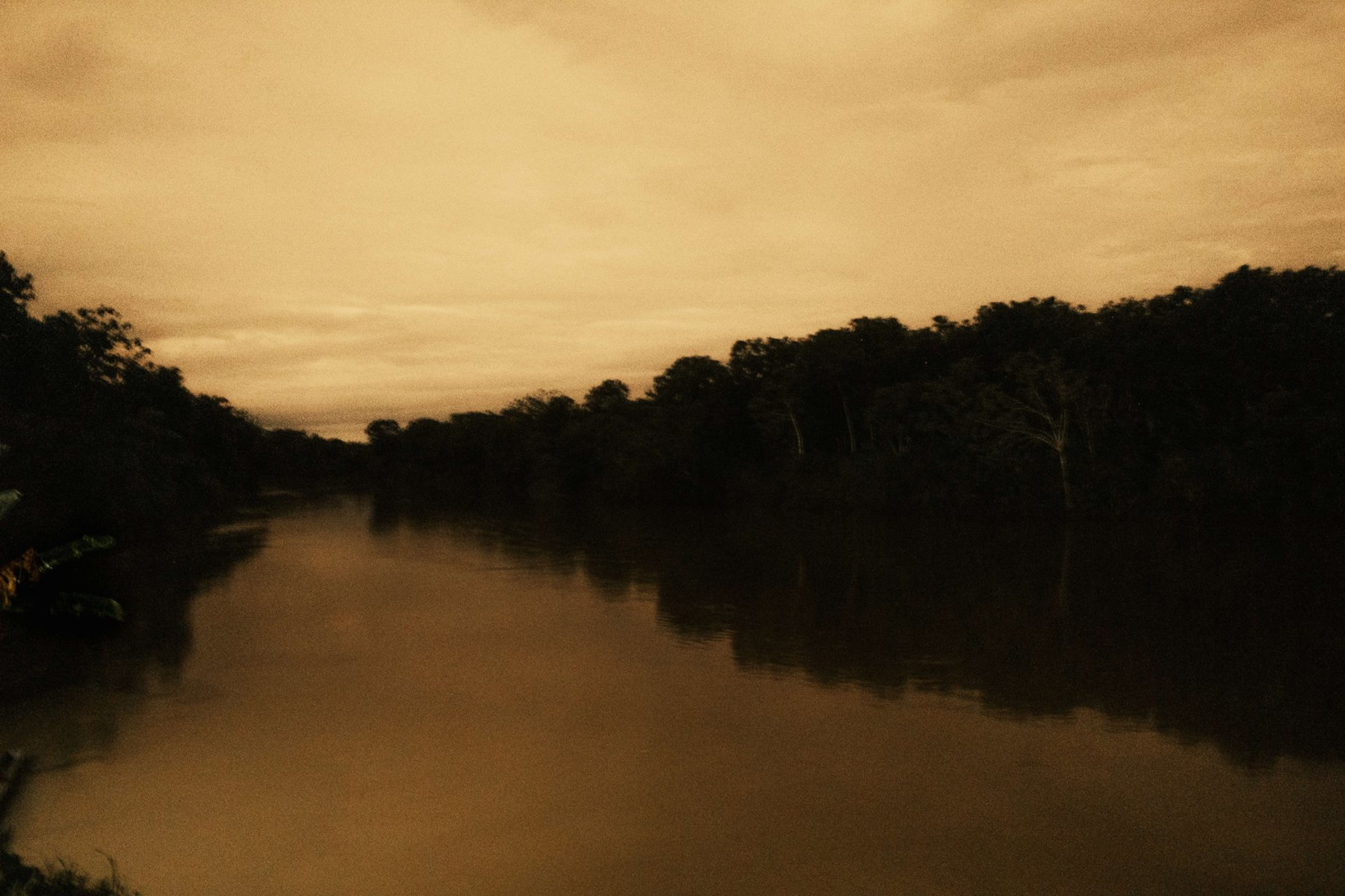 Fluss mit Bäumen am Rand, das Foto ist sepiafarben, Foto: Santiago Mesa